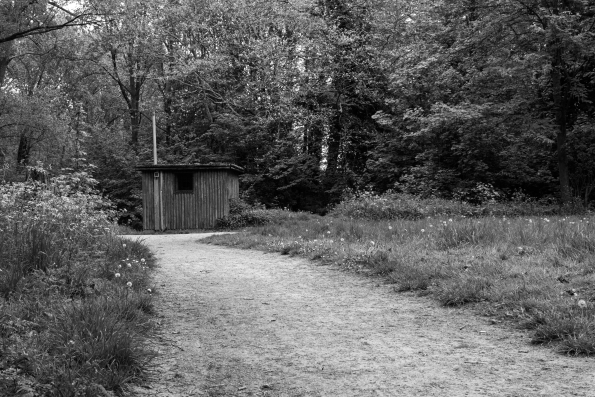 Lonely Hut