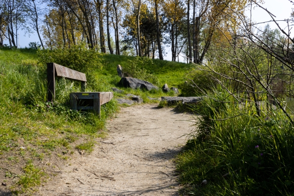 Isolated Pathway