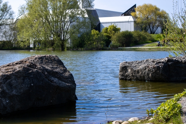 Rocky Lake