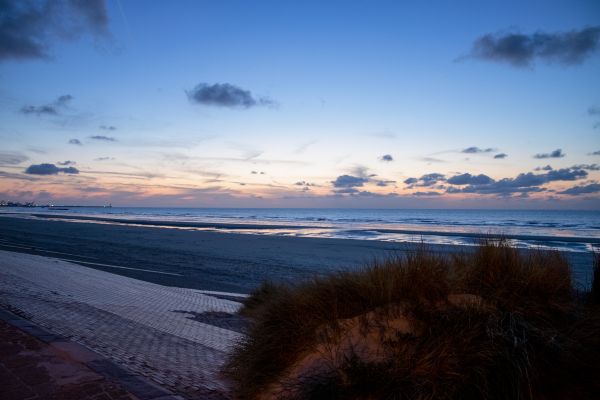 Settling Sand
