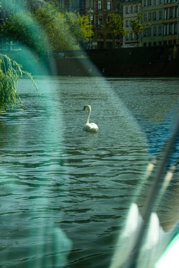 Sans Titre/Untitled